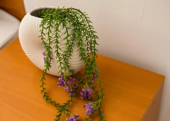 Sun View * لاردوس